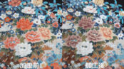 着物・工芸修正【派手直し】